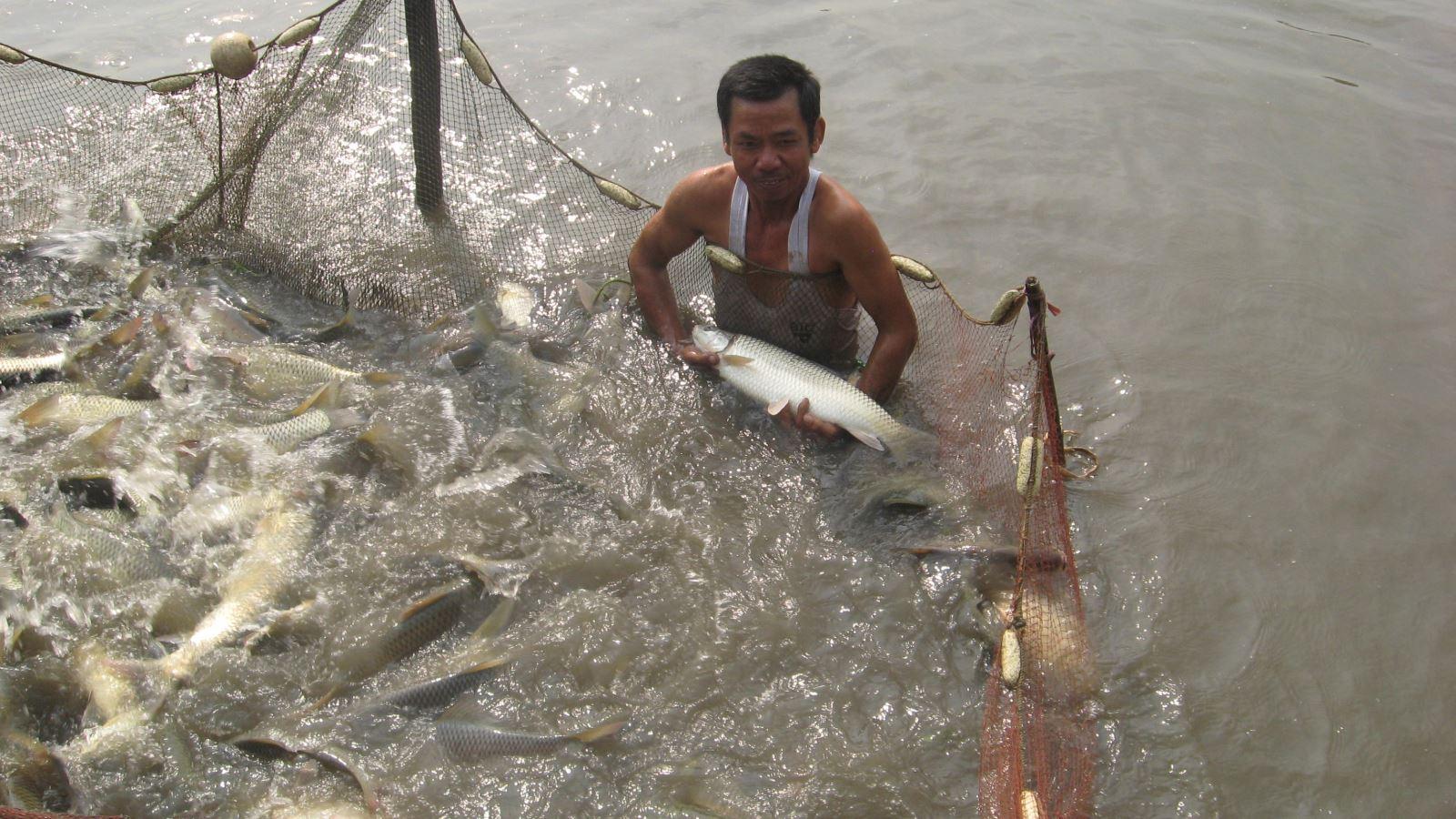 Thiết kế bờ ao nuôi thủy sản vững chắc nhờ ứng dụng nguyên lý địa kỹ thuật công trình